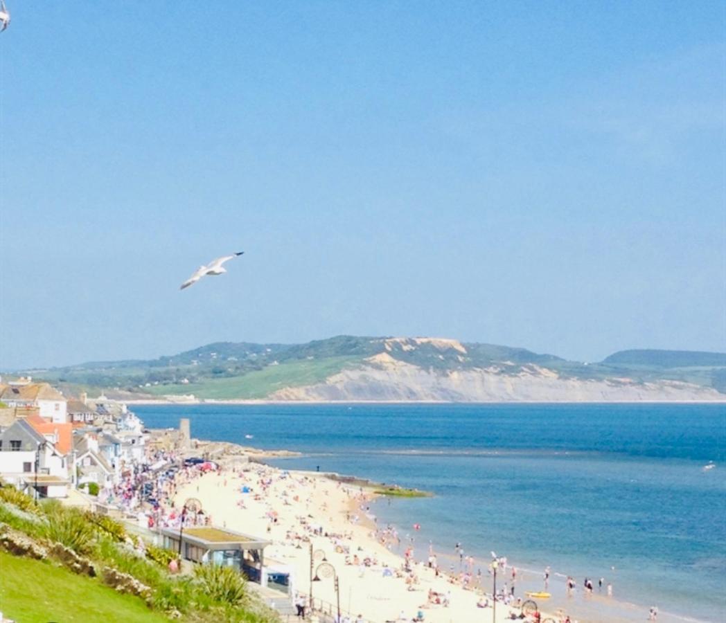 Sea Cliff View Designer * Lyme Regis