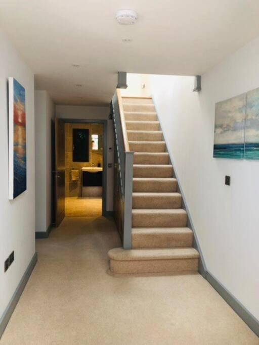 Sea Cliff View Designer *