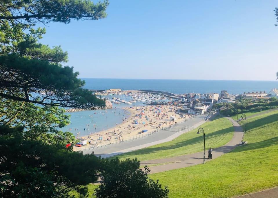 Sea Cliff View Designer *